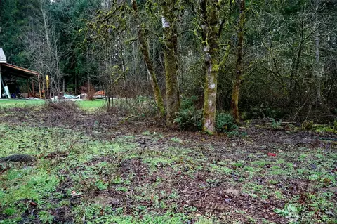 Exterior - 306 Minkler Rd, Winlock, WA 98596 photo 5 of 7