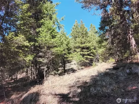 44 Trapline Loop Rd, Oroville, WA 98844