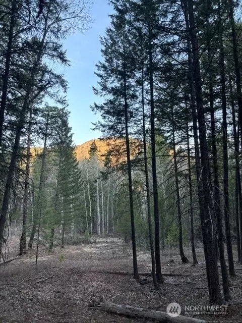 0 W Buttermilk Creek Rd, Twisp, WA 98856