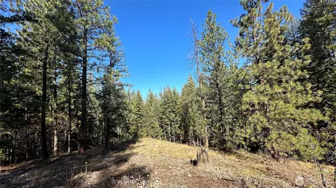 142 C Red Pine Ct, Winthrop, WA 98862