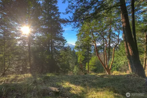 558 Buck Mt Rd, Orcas Island, WA 98245