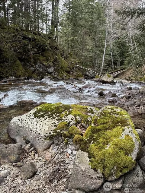 87236 NE Old Cascade Hwy, Skykomish, WA 98288