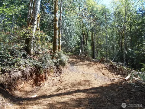 0 Dragonfly Pl, Brinnon, WA 98320