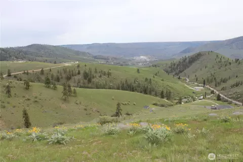 0 Nn Downhill Ln, Chelan, WA 98816 photo 11