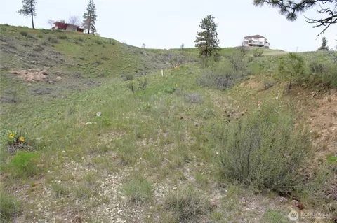 0 Nn Downhill Ln, Chelan, WA 98816 photo 19