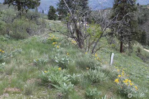 0 Nn Downhill Ln, Chelan, WA 98816 photo 7