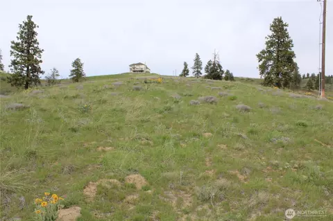 0 Nn Downhill Ln, Chelan, WA 98816 photo 8