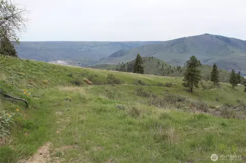 0 Nn Downhill Ln, Chelan, WA 98816 photo 5