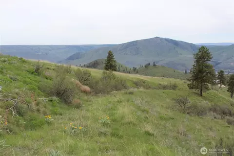 0 Nn Downhill Ln, Chelan, WA 98816 photo 6