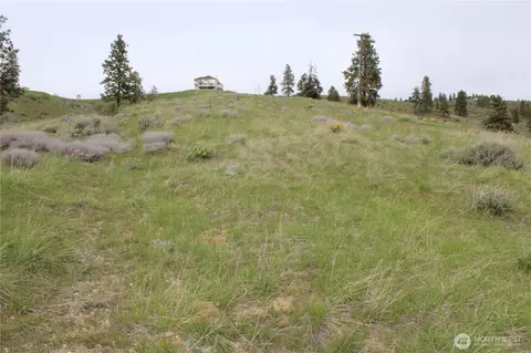 0 Nn Downhill Ln, Chelan, WA 98816 photo 18