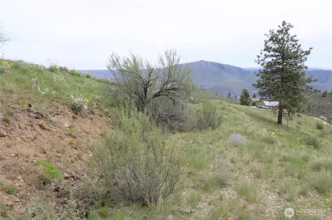 0 Nn Downhill Ln, Chelan, WA 98816 photo 20