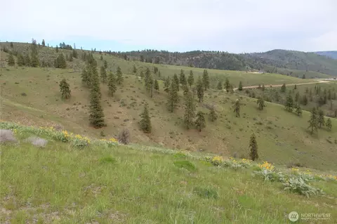 0 Nn Downhill Ln, Chelan, WA 98816 photo 10