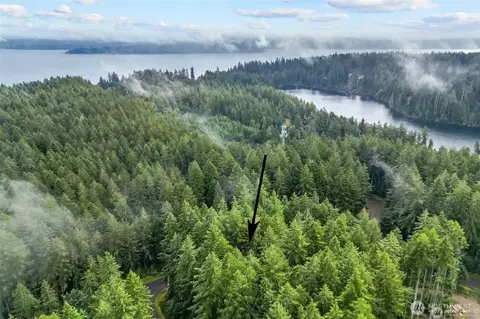 11025 Admiralty Way, Anderson Island, WA 98303