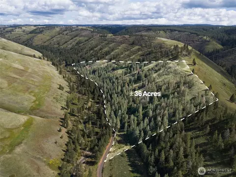 0 S Patit Rd, Dayton, WA 99328