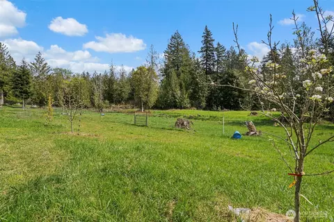 291 E Orchid Ln, Grapeview, WA 98546 photo 22