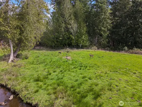 291 E Orchid Ln, Grapeview, WA 98546 photo 29