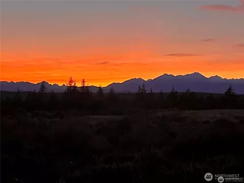Other - 381 E Benson Ridge Rd, Grapeview, WA 98546 photo 6 of 6
