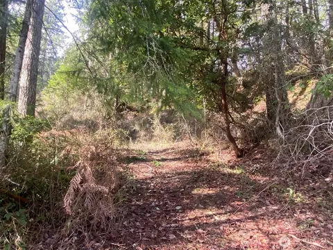 5 NE Gladwin Rd, Belfair, WA 98528
