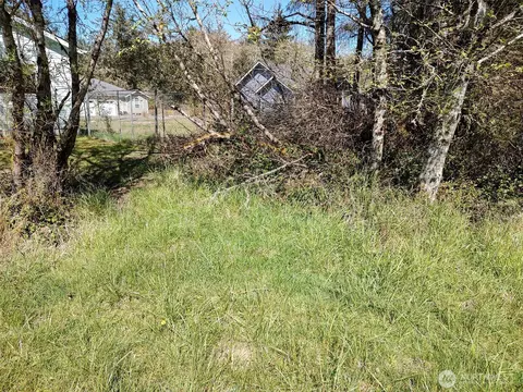 374 Mt Olympus Ave SE, Ocean Shores, WA 98569