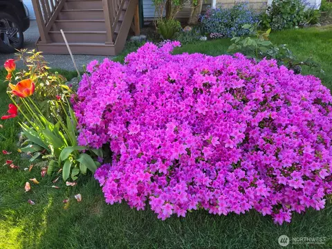 Other - 9608 25th Dr SE, Everett, WA 98208 photo 5 of 7