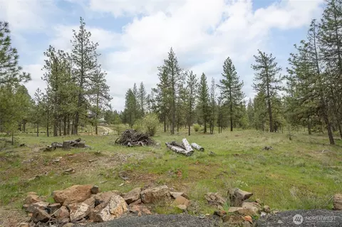 Exterior - 35315 S Bootstrap Ln, Cheney, WA 99004 photo 5 of 6