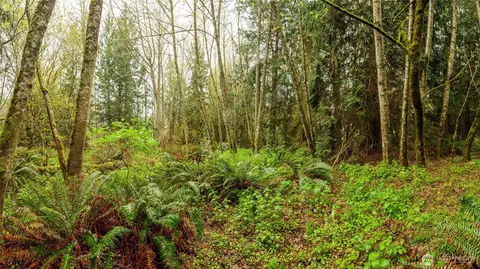 313 Weston Pkwy, Sequim, WA 98382 photo 19