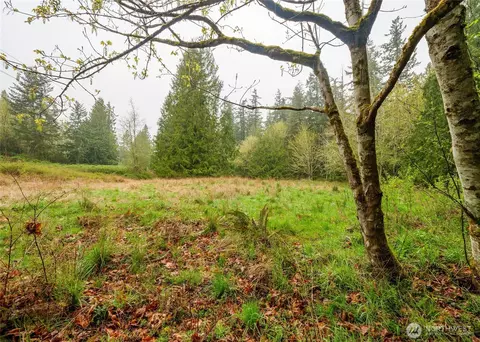 313 Weston Pkwy, Sequim, WA 98382 photo 22