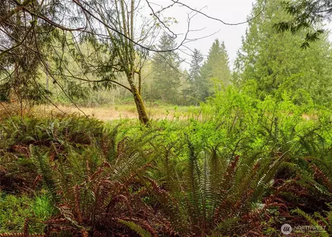 313 Weston Pkwy, Sequim, WA 98382 photo 20