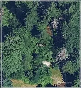 11020 NE 108th St, Kirkland, WA 98033