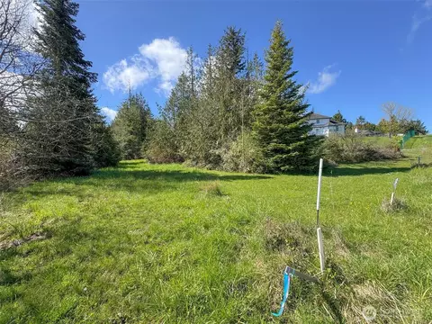 9999 Elks Pass Rd, Sequim, WA 98382 photo 27