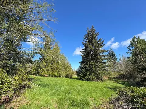 9999 Elks Pass Rd, Sequim, WA 98382 photo 19