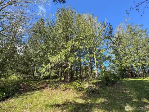 9999 Elks Pass Rd, Sequim, WA 98382 photo 15