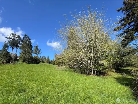 9999 Elks Pass Rd, Sequim, WA 98382 photo 13