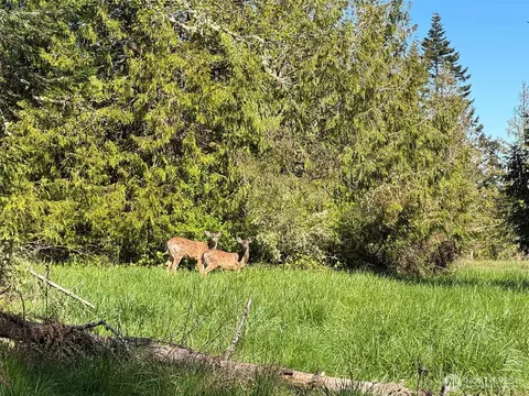 9999 Elks Pass Rd, Sequim, WA 98382 photo 17