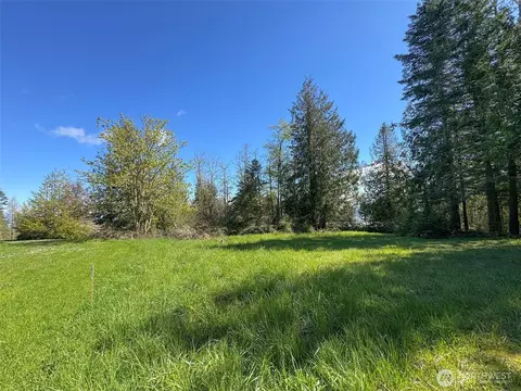 9999 Elks Pass Rd, Sequim, WA 98382 photo 34