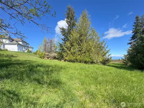 9999 Elks Pass Rd, Sequim, WA 98382 photo 20