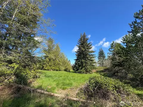 9999 Elks Pass Rd, Sequim, WA 98382 photo 18