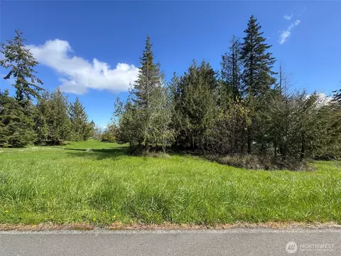 9999 Elks Pass Rd, Sequim, WA 98382 photo 9