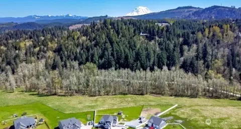 View/Area - 19017 Voight Meadows Rd E, Orting, WA 98360 photo 2 of 2