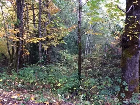 25116 SE 146th St, Issaquah, WA 98027