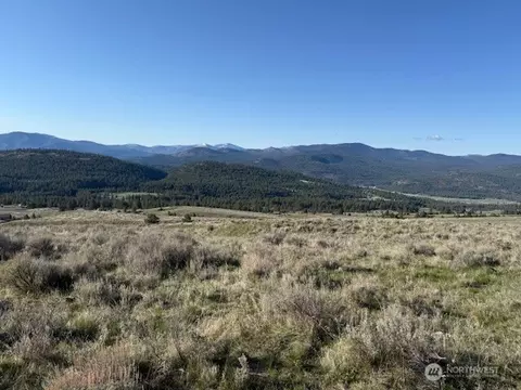 111 Tbd White Tail Ln, Tonasket, WA 98855