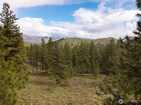 0 Lot 61 Whitebark Ln, Winthrop, WA 98862