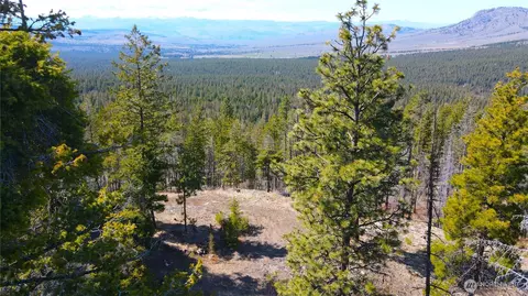 32 1 Twin Creeks Rnch, Riverside, WA 98849