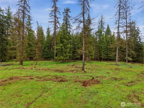 0 W Nka W Oregon Rd, Deer Park, WA 99110