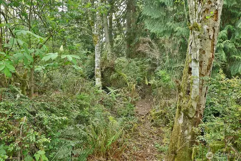 0 Nnn Goss Lake Rd, Langley, WA 98260