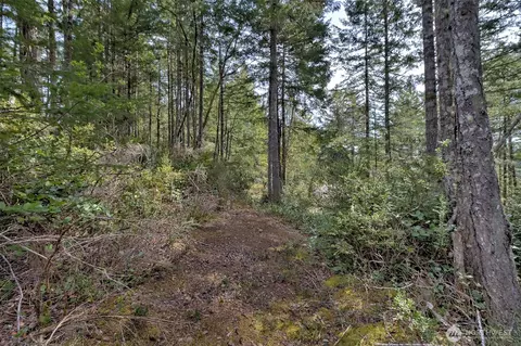 100 E Skyview Dr, Union, WA 98592 photo 18