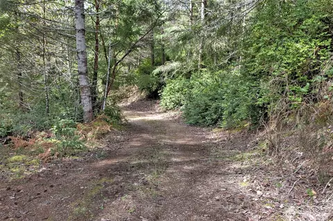 100 E Skyview Dr, Union, WA 98592 photo 17