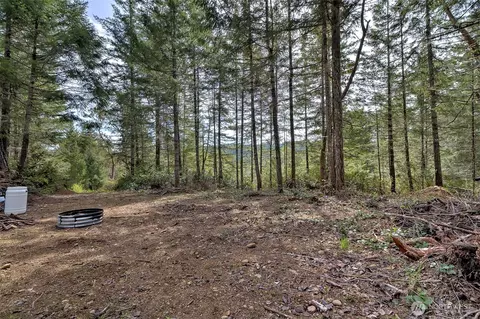 100 E Skyview Dr, Union, WA 98592 photo 20