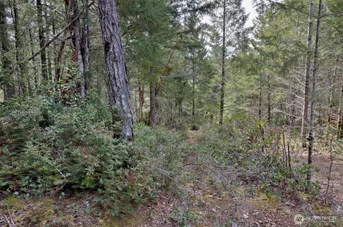 100 E Skyview Dr, Union, WA 98592 photo 19