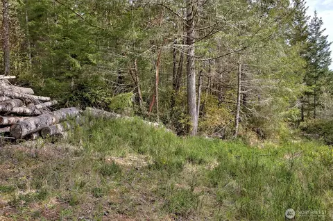 100 E Skyview Dr, Union, WA 98592 photo 9